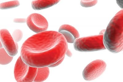 Blood collection labelling system