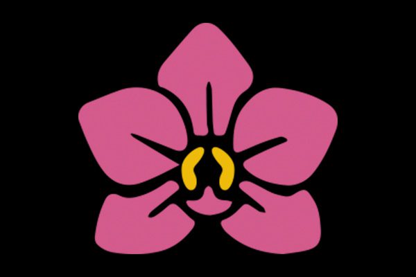 Comprehensive Breast Cancer Institute