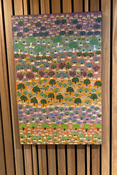 My Country, by Ampitlatwatja artist, Michelle Pula Holmes