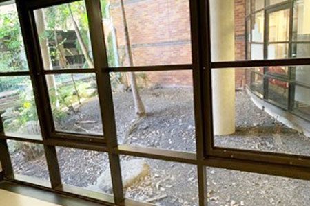 Mental Health E Floor Garden Project