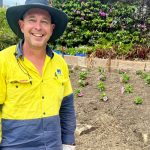 Healthy blooms brighten the community