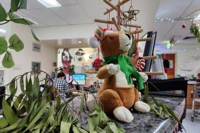 Aussie Christmas - Ward 2D