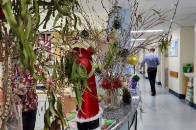 Aussie Christmas - Thoracic Ward
