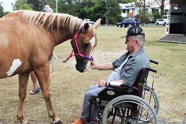 Faith, a 12-year-old mare, visits Gannet House.