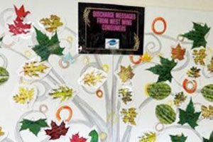 Metro North Mental Health Safewards strategy improving communication