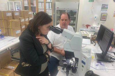 ED visited Pathology Services