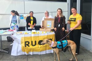 CMORE information stall, and Tina, the support dog from Pat Dogs Australia.