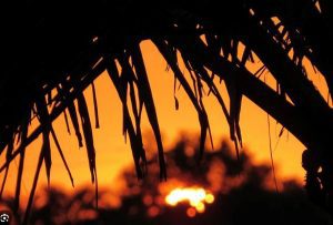 South-East Queensland is experiencing a heatwave 