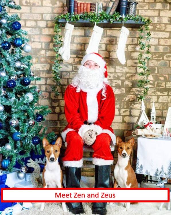 Santa and his little helpers Zen and Zeus