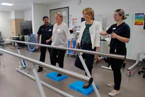 Health Aging Assessment and Rehabilitation Team (HAART)
