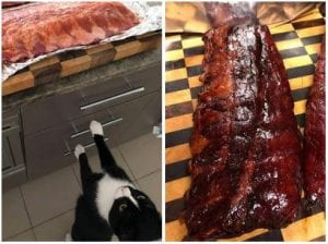 Pork Ribs