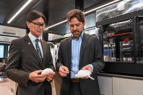 Professor Owen Ung and Dr Michael Wagels look at the scaffolding